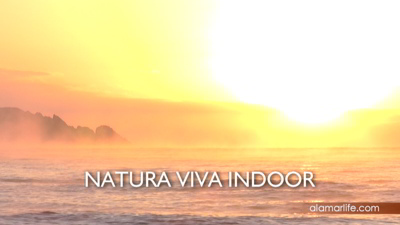 ideo therapy, nature video Wellness